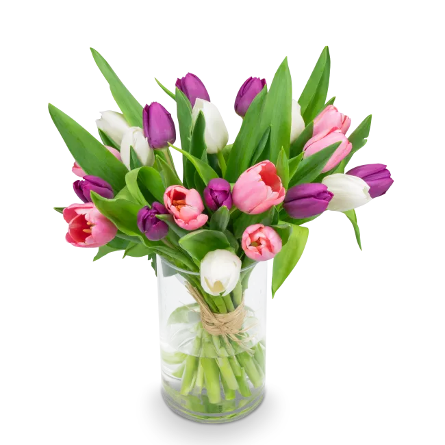 Kytice tulipánů